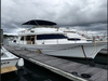 Albin 40 Double Cabin