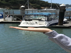 Bayliner 245 Sausalito California BoatsFSBOgo