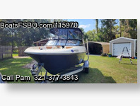 Bayliner V4 Bowrider