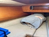 Beneteau First 285 Lake Hefner, Oklahoma City Oklahoma BoatsFSBOgo