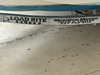 Boston Whaler Newport Montauk Margate City New Jersey Boston Whaler Newport Montauk Margate City New Jersey BoatsFSBOgo