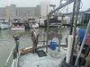 Broadfire Commercial Fishing Boat Galveston Texas BoatsFSBOgo