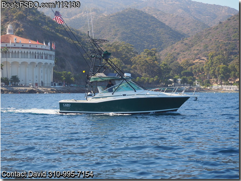 31'  1996 Cabo 31 Express BoatsFSBOgo