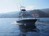 Cabo 31 Express Long Beach California BoatsFSBOgo