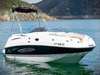 Chaparral 252 Sunesta