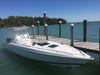 Chris Craft 311 Stinger