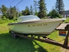 Chris Craft Cavalier Golden Arrow Hessel Michigan BoatsFSBOgo