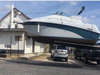 Crownline 250 CR Hammonton    New Jersey BoatsFSBOgo