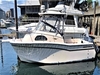 Grady White 300 Marlin