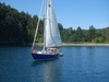 Hinckley Pilot 35 Anacortes Washington BoatsFSBOgo