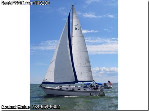 36'  1981 Hunter Cherubini BoatsFSBOgo