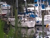 Nauticat 36 Oriental North Carolina BoatsFSBOgo