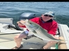 Parker 2120se Center Console Loudon  New Hampshire BoatsFSBOgo