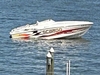 Scarab 33 AVS