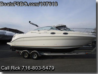 Sea Ray 260 Sundancer