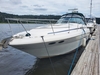 Sea Ray 410 Sundancer