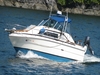 Sea Ray 260 Express