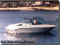 Sea Ray 260cc