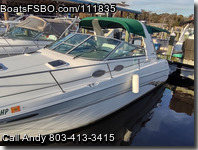 Sea Ray 290 Sundancer