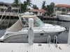 Sea Ray 290 Amberjack