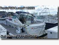 Sea Ray 390 Express Cruiser