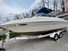 Sea Ray 215 Express Cruiser