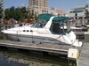 Sea Ray 400 Sundancer