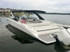 Sea Ray 290