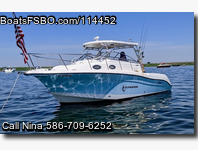 Seaswirl 2901 Striper