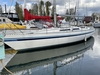 Sirena 38