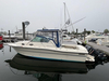 Stamas 288 Liberty