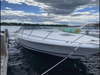 Wellcraft Gran Sport Mayer Minnesota BoatsFSBOgo