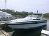 Wellcraft 3200 St Tropez