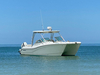 World Cat 295 DC Fort Myers Florida BoatsFSBOgo